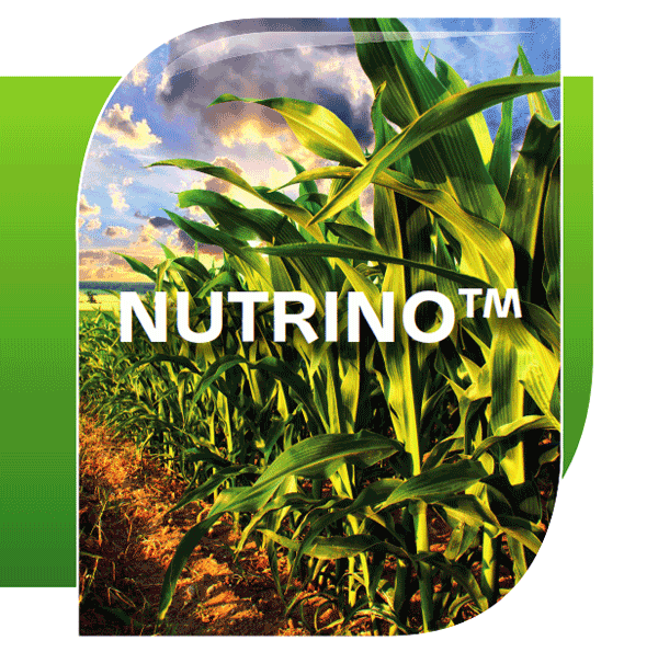 NUTRINO®