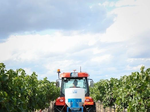 Vineyard treatment with the DUSTER in overcast weather
