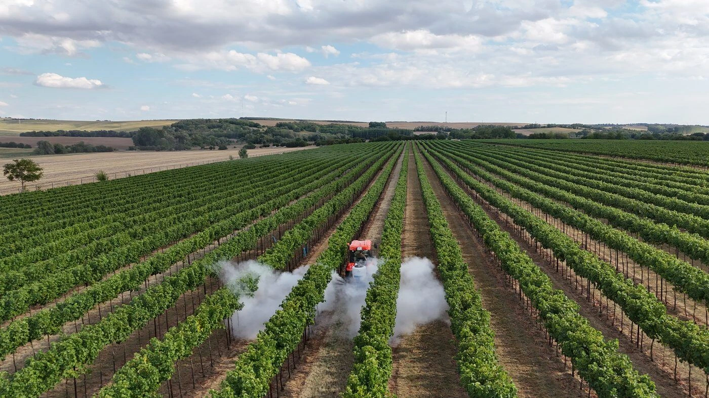 DUSTER G406 applying powder to both sides of the grapevine row