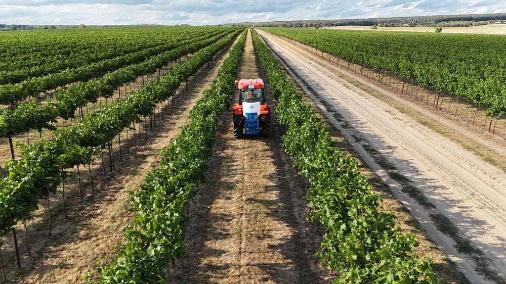 Tractor with a mounted DUSTER G406 in a vineyard row