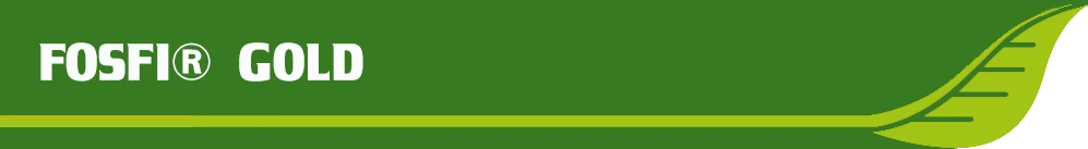 FOSFI® GOLD